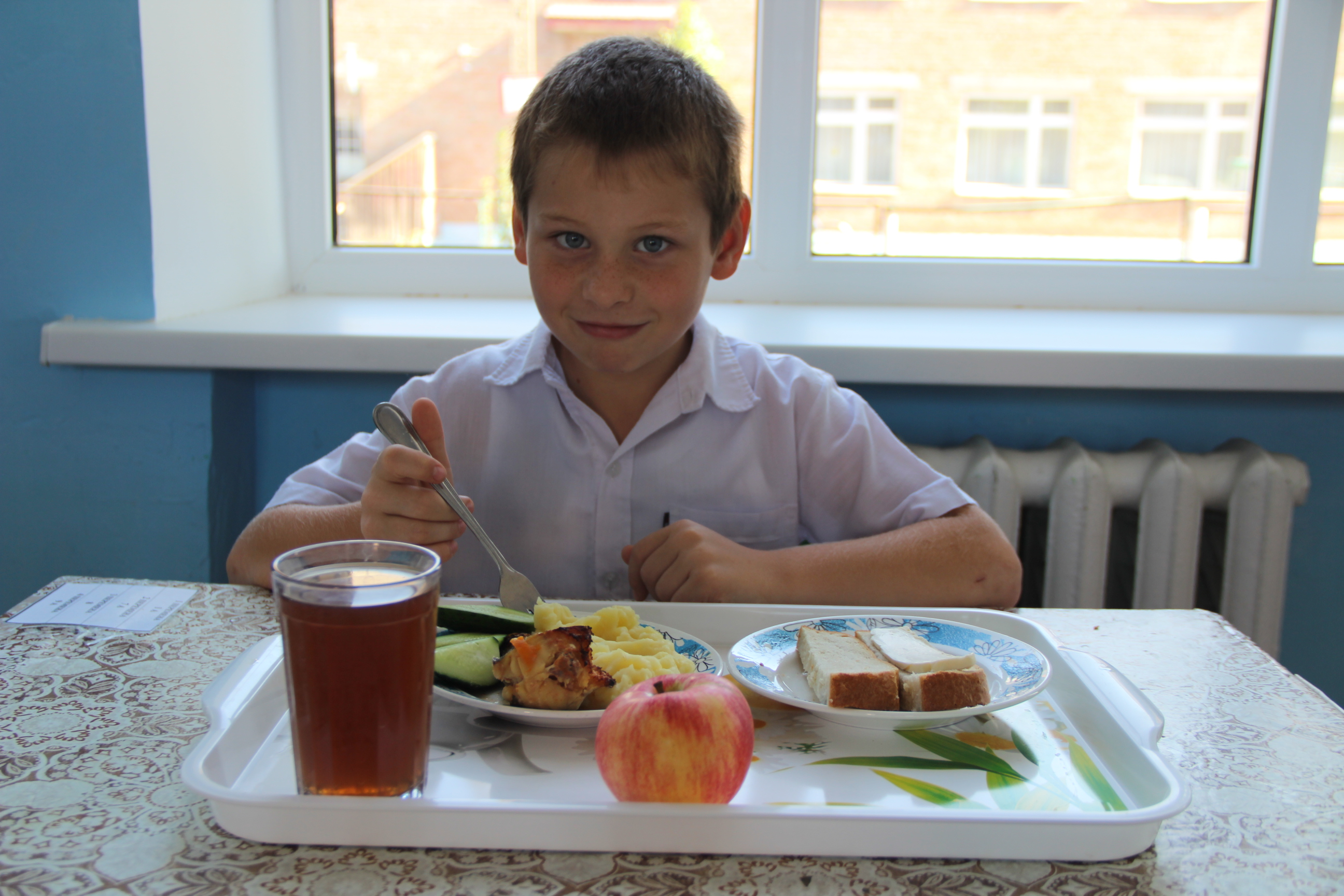 Горячее питание рф. Горячего питания учеников начальных классов Тыва. Конь и. «о здоровом питании школьников». Заготовки еды для школьника.